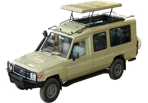 Game Drive Services