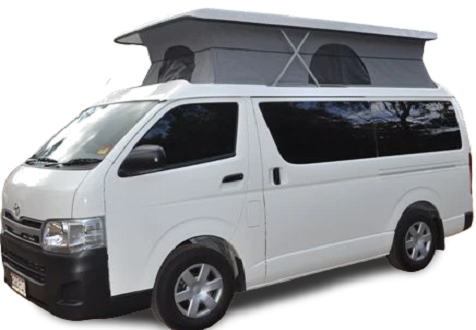 Safari Tours Services